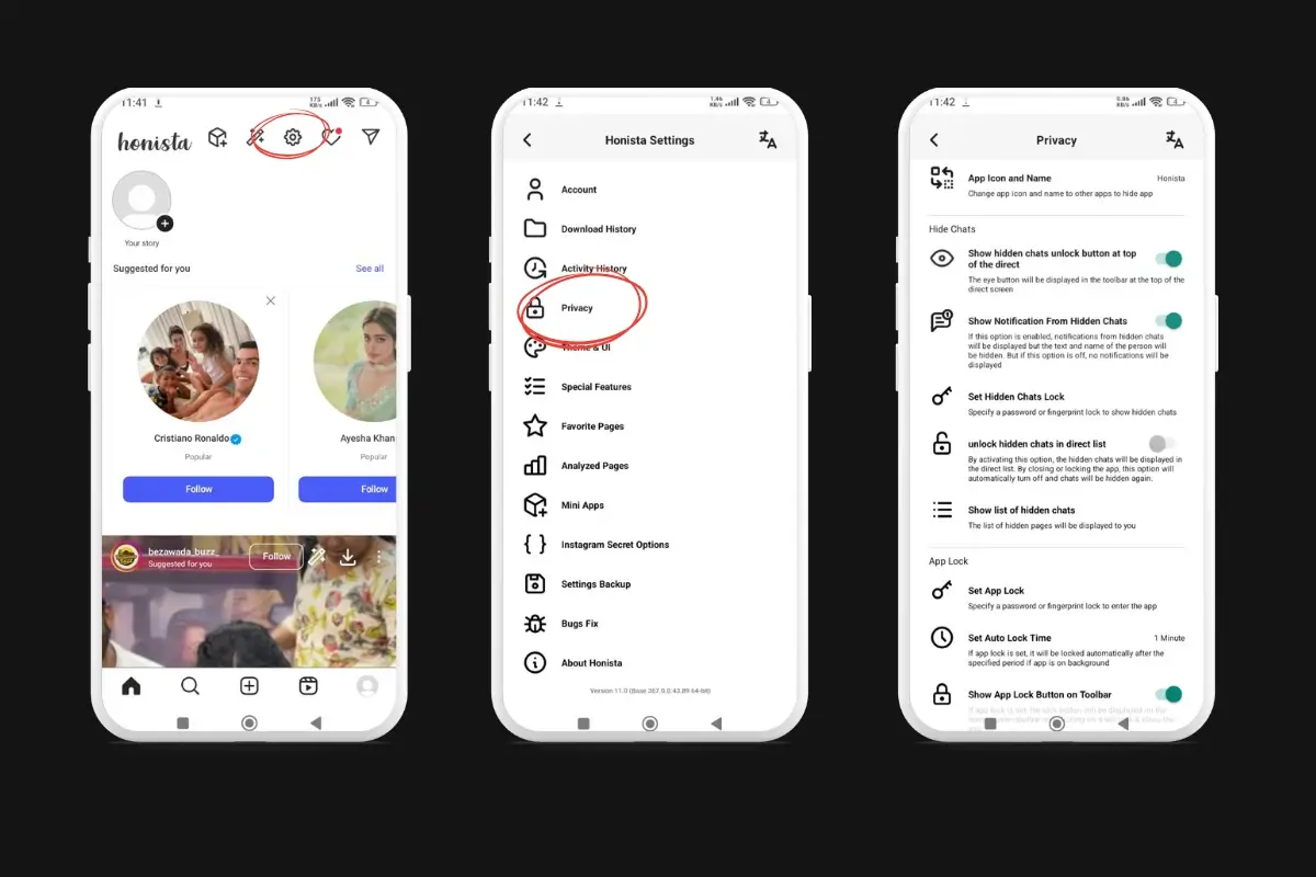 Honista 16 Advance Privacy and security control