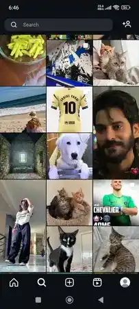 Honista 4 Honista APK