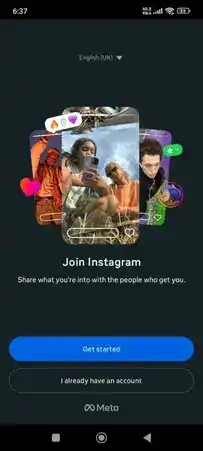 Honista 6 Insta Gold