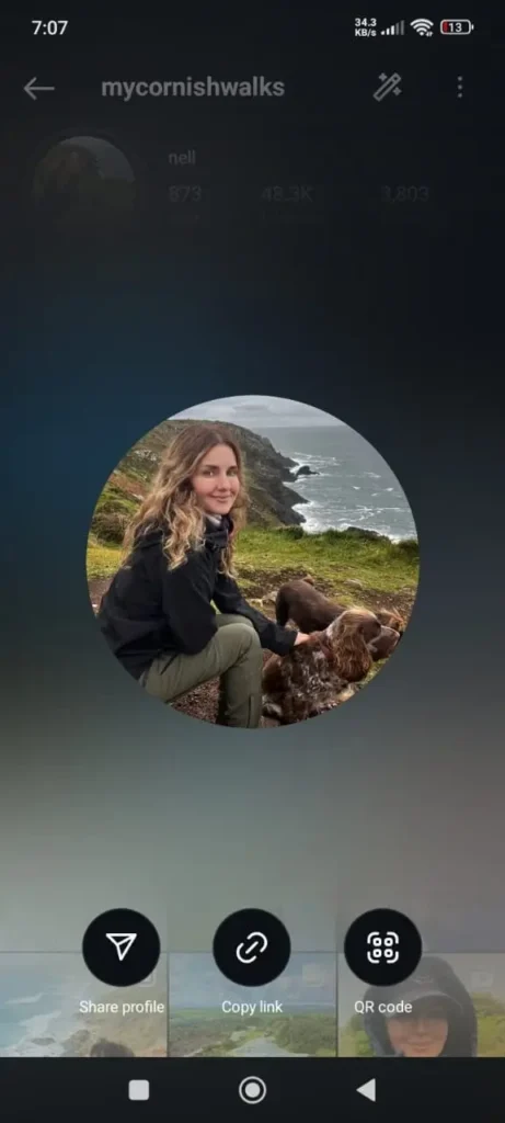 iPhone 10 Honista Insta